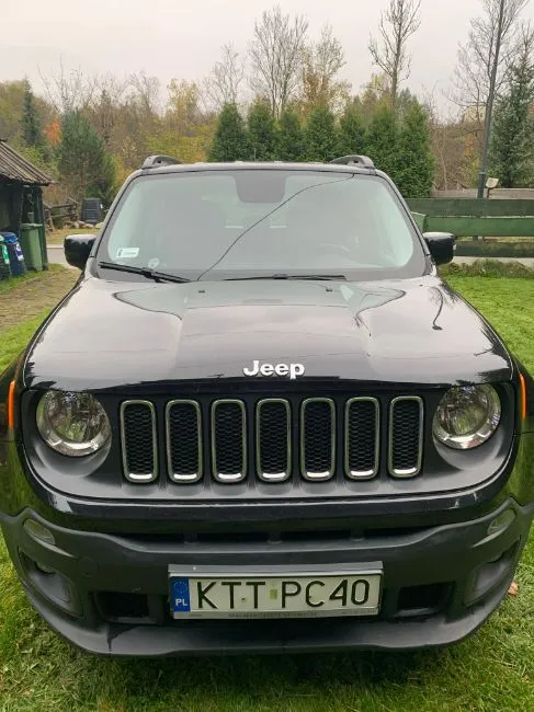 Jeep Renegade  Image 1