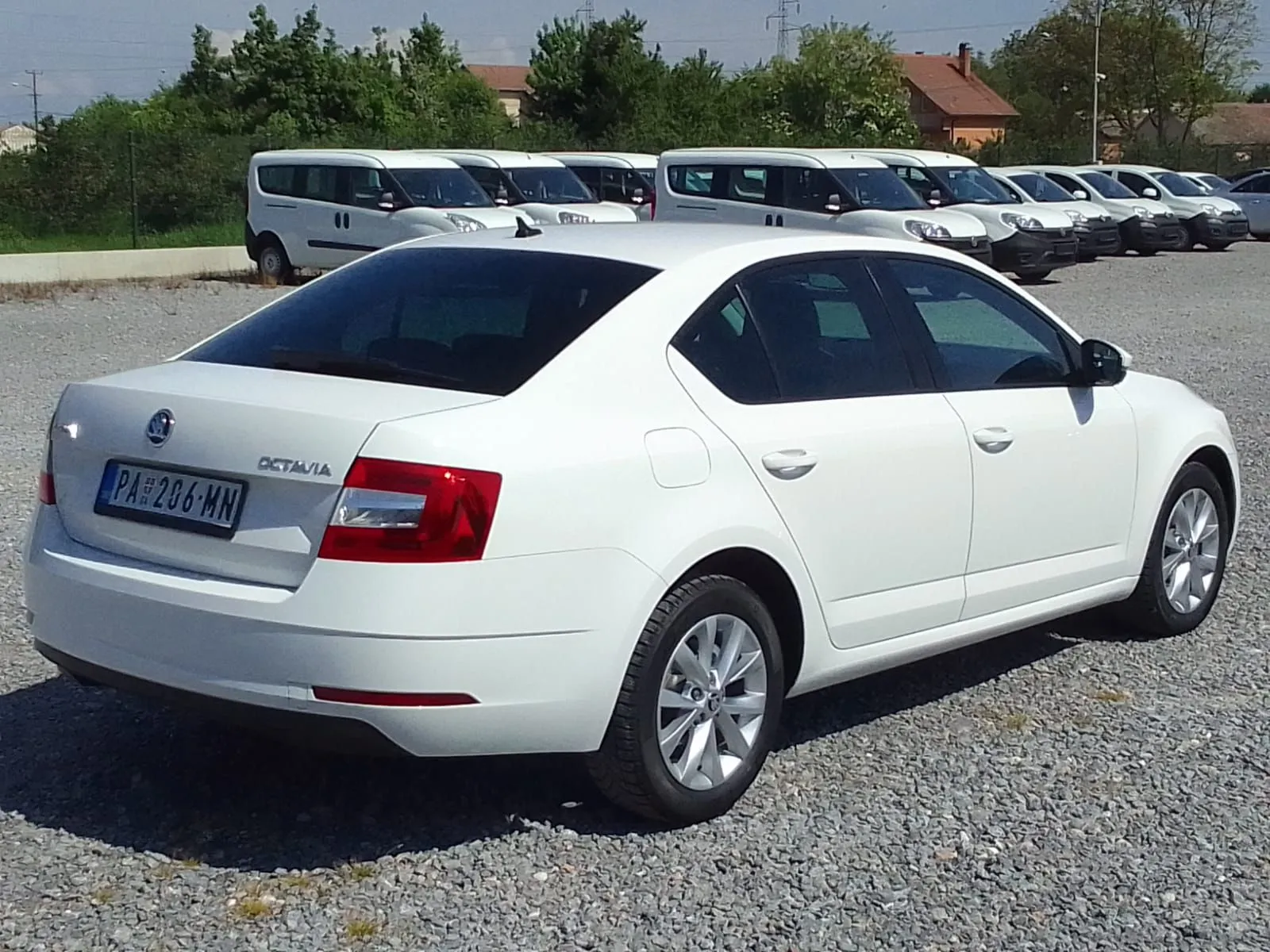Škoda Octavia 1.6Tdi/DsG Image 4