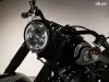 Harley-Davidson FLSTC  Thumbnail 4