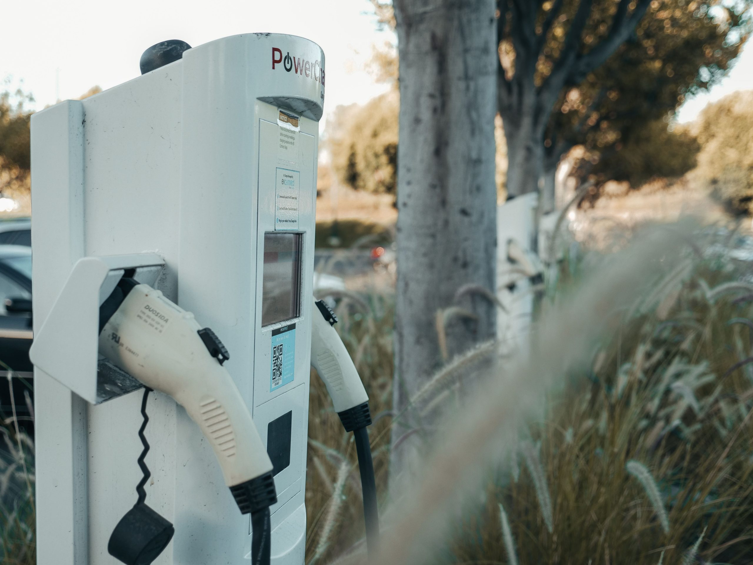 Station recharge véhicule électrique en milieu naturel